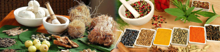 Indian Compounds Central Council of Indian Medicine